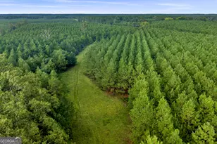 235 Mt Hebron Rd, Coleman, GA 39836 - Photo 60