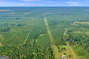 235 Mt Hebron Rd, Coleman, GA 39836 - Photo 78