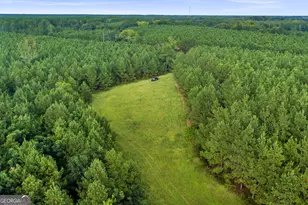 235 Mt Hebron Rd, Coleman, GA 39836 - Photo 64