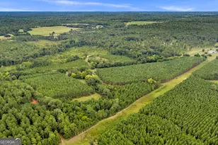 235 Mt Hebron Rd, Coleman, GA 39836 - Photo 82
