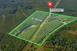 235 Mt Hebron Rd, Coleman, GA 39836 - Photo 2