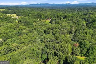 743 Timber Ridge Ln, Ellijay, GA 30540 - Photo 40