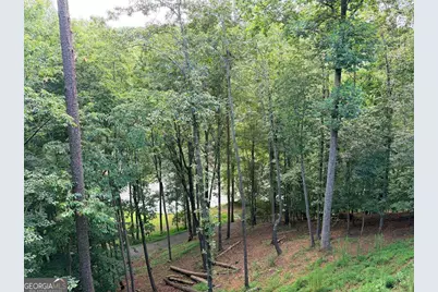 65 Dawn Lane #725, Ellijay, GA 30540 - Photo 32
