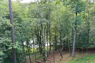 65 Dawn Ln, Ellijay, GA 30540 - Photo 32