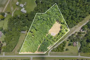00 Buck Creek Rd, Sylvania, GA 30467 - Photo 1