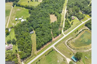 00 Buck Creek Road, Sylvania, GA 30467 - Photo 4