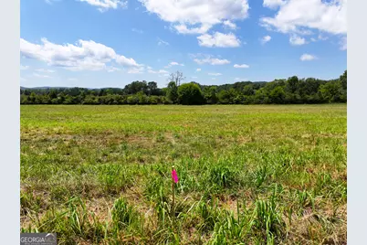 0 Buttermilk Road #TRACT 3, Cave Spring, GA 30124 - Photo 4