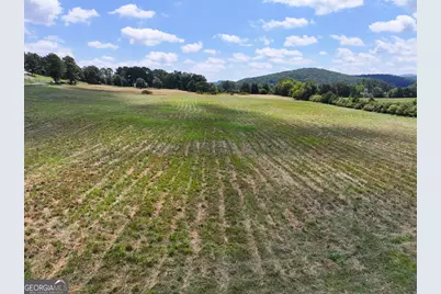 0 Buttermilk Road #TRACT 3, Cave Spring, GA 30124 - Photo 12
