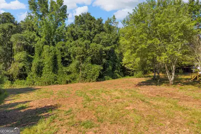265 Griffin Road, Martin, GA 30557 - Photo 28
