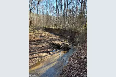 265 Griffin Road, Martin, GA 30557 - Photo 30
