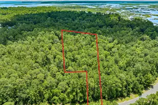 V/L 18 Lighthouse Circle, Woodbine, GA 31569 - Photo 1