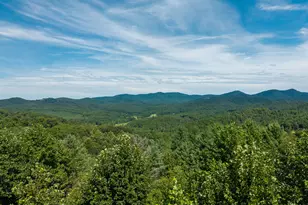 149 Mahoosec Trail, Mineral Bluff, GA 30559 - Photo 2