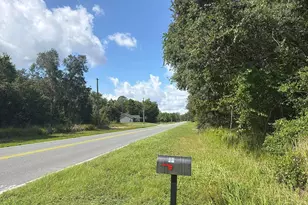 52 Bay Rd, Ocklawaha, FL 32179 - Photo 4