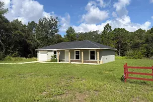 52 Bay Rd, Ocklawaha, FL 32179 - Photo 2