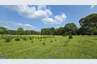2037 Jeff Davis Road, Thomaston, GA 30286 - Photo 34
