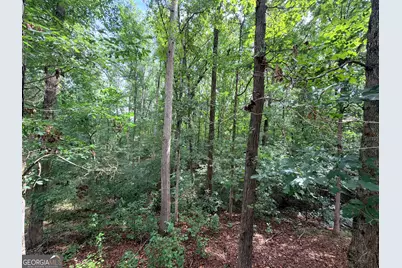 244 Skyline Way, Lavonia, GA 30553 - Photo 22