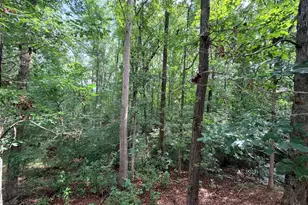 244 Skyline Way, Lavonia, GA 30553 - Photo 22