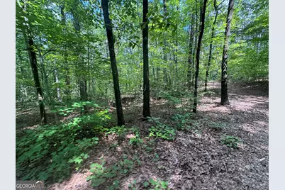 2996 Stokes Store Road, Forsyth, GA 31029 - Photo 1