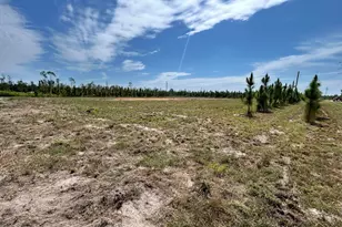 2096 Sellers Road NW, Baxley, GA 31513 - Photo 2