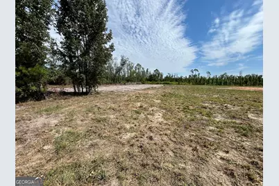 2096 Sellers Road NW, Baxley, GA 31513 - Photo 4