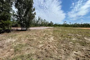 2096 Sellers Road NW, Baxley, GA 31513 - Photo 4