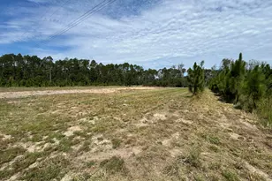 2096 Sellers Road NW, Baxley, GA 31513 - Photo 8