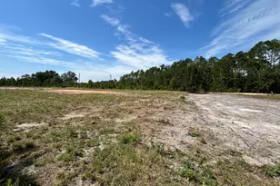 2096 Sellers Road NW, Baxley, GA 31513 - Photo 6