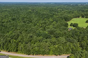 3120 Hwy 229, Mansfield, GA 30055 - Photo 1