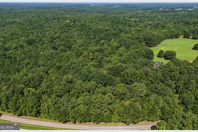 3140 Highway 229, Mansfield, GA 30055 - Photo 1