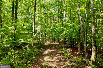 3140 Highway 229, Mansfield, GA 30055 - Photo 12