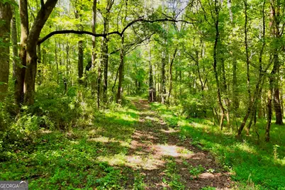3180 Highway 229, Mansfield, GA 30055 - Photo 8