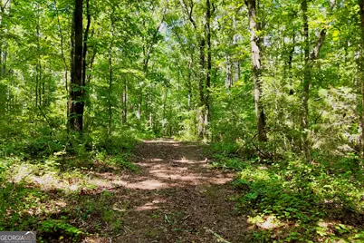 3180 Highway 229, Mansfield, GA 30055 - Photo 16