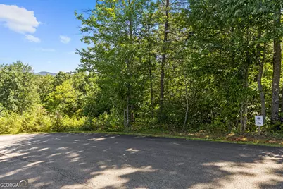 Lot 26 Staurolite Mountain Road, Blue Ridge, GA 30513 - Photo 6