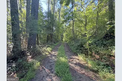 505 Hank Fry Road, Clarkesville, GA 30523 - Photo 1