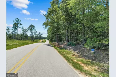 3191 Syrup Mill Crossing, Greensboro, GA 30642 - Photo 16