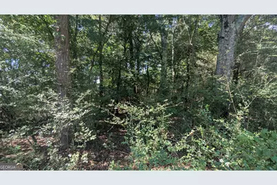 9 Heather Circle, Cave Spring, GA 30124 - Photo 6
