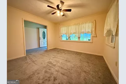 263 Broxton Highway, Hazlehurst, GA 31539 - Photo 38