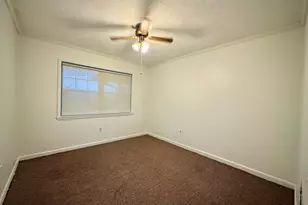 263 Broxton Hwy, Hazlehurst, GA 31539 - Photo 42