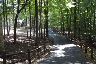 202 Shepherds Ridge, Morganton, GA 30560 - Photo 2