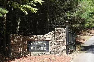 202 Shepherds Ridge, Morganton, GA 30560 - Photo 76
