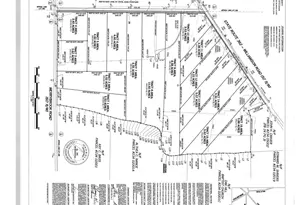 Lot 7 Rex Rd, Williamson, GA 30292 - Photo 6
