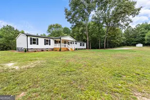 19145 Ga Hwy 100, Franklin, GA 30217 - Photo 2