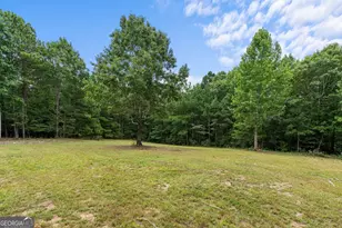 19145 Ga Hwy 100, Franklin, GA 30217 - Photo 26