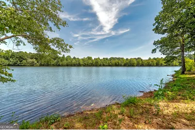 130 N Stewart Lane, Griffin, GA 30224 - Photo 46