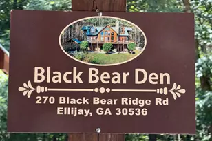 270 Black Bear Ridge Rd, Ellijay, GA 30536 - Photo 100
