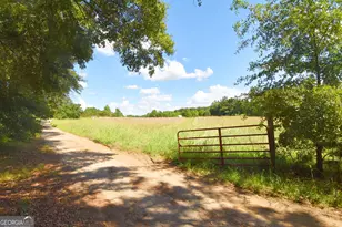 269 N Dorsey Rd, Hampton, GA 30228 - Photo 4