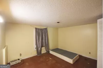 269 N Dorsey Road, Hampton, GA 30228 - Photo 46