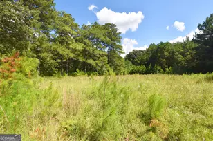 269 N Dorsey Rd, Hampton, GA 30228 - Photo 48