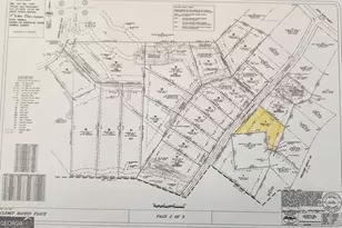 Lot 3 Clemit Harris Rd, Newnan, GA 30263 - Photo 8