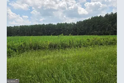 0 Roy and Blanche Hulett Road #7, Fitzgerald, GA 31750 - Photo 1